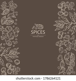 Antecedentes con caldo y especias: raíz cúrmica, hojas de laurel, semillas de cardamomo y semillas de cilantro. Ilustración dibujada a mano por vectores.