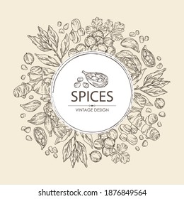 Background with hearbs and spices: turmeric root, bay leaf, cardamom seeds and coriander sseds. Vector hand drawn illustration.