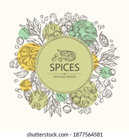 Background with hearbs and spices: turmeric root, bay leaf, cardamom seeds and coriander sseds. Vector hand drawn illustration.