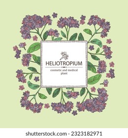 Background with heliotropium: plant, leaves and heliotropium flowers. Heliotrope. Cosmetic, perfumery and medical plant. Vector hand drawn illustration