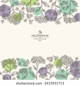 Background with heliotropium: plant, leaves and heliotropium flowers. Heliotrope. Cosmetic, perfumery and medical plant. Vector hand drawn illustration