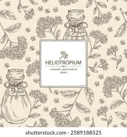 Background with heliotropium: plant, leaves, heliotropium flowers and bottle of heliotropium essential oil. Heliotrope. Cosmetic, perfumery, plant. Vector hand drawn