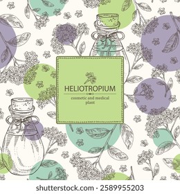 Background with heliotropium: plant, leaves, heliotropium flowers and bottle of heliotropium essential oil. Heliotrope. Cosmetic, perfumery, plant. Vector hand drawn