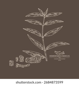 Hintergrund mit Hemidesmus indicus: Hemidesmus indicus Wurzel, Pflanze und Blätter. Indischer Sarsaparilla. Kosmetische und medizinische Pflanze. Handgezeichnete Vektorgrafik