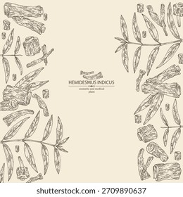 Background with hemidesmus indicus: hemidesmus indicus root, plant and leaves. Indian sarsaparilla. Cosmetic and medical plant. Vector hand drawn illustration