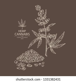 Background with hemp: cannabis seeds and plant. Superfood. Cosmetic and medical plant. Vector hand drawn illustration