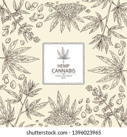 Background with hemp: cannabis seeds and plant. Superfood. Cosmetic and medical plant. Vector hand drawn illustration