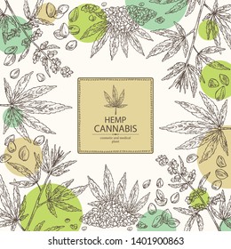 Background with hemp: cannabis seeds and plant. Superfood. Cosmetic and medical plant. Vector hand drawn illustration