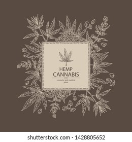 Background with hemp: cannabis seeds and plant. Superfood. Cosmetic and medical plant. Vector hand drawn illustration