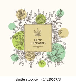 Background with hemp: cannabis seeds and plant. Superfood. Cosmetic and medical plant. Vector hand drawn illustration