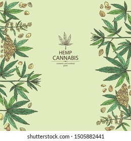 Background with hemp: cannabis seeds and plant. Superfood. Cosmetic and medical plant. Vector hand drawn illustration