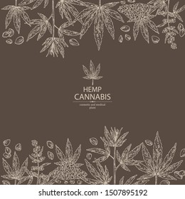 Background with hemp: cannabis seeds and plant. Superfood. Cosmetic and medical plant. Vector hand drawn illustration