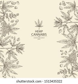 Background with hemp: cannabis seeds and plant. Superfood. Cosmetic and medical plant. Vector hand drawn illustration