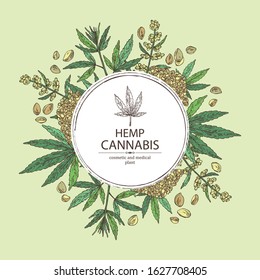 Background with hemp: cannabis seeds and plant. Superfood. Cosmetic and medical plant. Vector hand drawn illustration