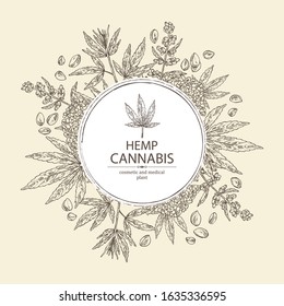 Background with hemp: cannabis seeds and plant. Superfood. Cosmetic and medical plant. Vector hand drawn illustration