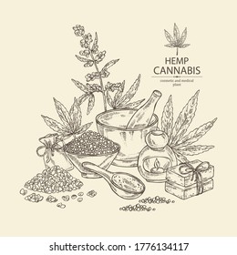 Background with hemp leaves, cannabis plant and seeds, leaves, soap and bath salt . Cosmetic and medical plant. Vector hand drawn illustration. 