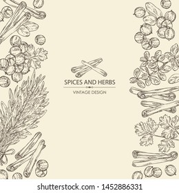 Background with herb and spices: tarragon, coriander, cinnamon and marjoram . Vector hand drawn illustration. 