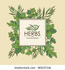 Background with herbs. arugula, cilantro, tarragon, oregano, parsley. hand drawn