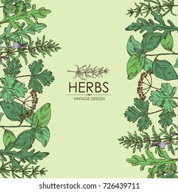 Background with herbs: arugula, rosemary, basil, cilantro and marjoram. Vector hand drawn illustration