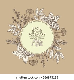 Background with Herbs. Bay leaf, basil, thyme, rosemary, mint, hand drawn