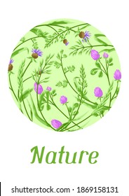 Background with herbs and cereal grass. Floral design of meadow plants.