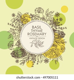 Background with herbs and spice. Bay leaf, basil, thyme, rosemary, mint, cloves, dill, stars anise, cinnamon. hand drawn