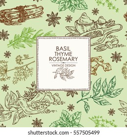 Background with herbs and spice. Bay leaf, clover, basil,thyme, mint, dill, stars anise, cinnamon. hand drawn.