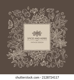 Background with herbs and spices: azhgon seeds, badyan, star anise, sichuan pepper and alpinia galanga. Vector hand drawn illustration