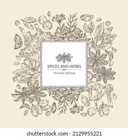 Background with herbs and spices: azhgon seeds, badyan, star anise, sichuan pepper and alpinia galanga. Vector hand drawn illustration