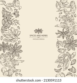 Background with herbs and spices: azhgon seeds, badyan, star anise, sichuan pepper and alpinia galanga. Vector hand drawn illustration