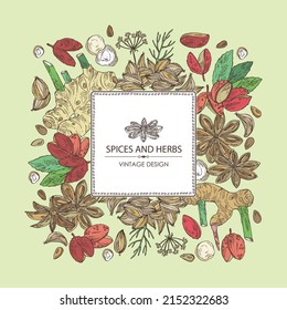 Background with herbs and spices: azhgon seeds, badyan, star anise, sichuan pepper and alpinia galanga. Vector hand drawn illustration