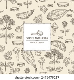 Fondo con hierbas y especias: árbol de clavo, perejil, origanum vulgare, chalotes. Vector dibujado a mano ilustración.
