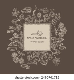 Background with herbs and spices: clove tree, parsley, origanum vulgare, shallot. Vector hand drawn illustration.