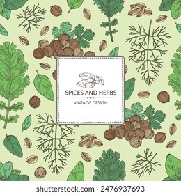 Fondo con hierbas y especias: cilantro, cilantro, albahaca, eneldo, planta de col. Vector dibujado a mano ilustración.