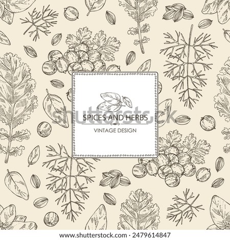 Background with herbs and spices: coriander, cilantro, basil, dill, kale plant. Vector hand drawn illustration.