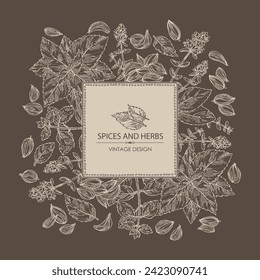 Background with herbs and spices: flowers of thyme, perilla, tulasi, holy basil, azhgon seeds. Vector hand drawn illustration.