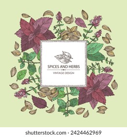 Background with herbs and spices: flowers of thyme, perilla, tulasi, holy basil, azhgon seeds. Vector hand drawn illustration.