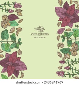 Background with herbs and spices: flowers of thyme, perilla, tulasi, holy basil, azhgon seeds. Vector hand drawn illustration.
