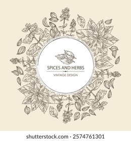 Background with herbs and spices: flowers of thyme, perilla, tulasi, holy basil, azhgon seeds. Vector hand drawn illustration.