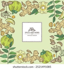 Background with herbs and spices: garcinia cambogia, turmeric, curry tree, azhgon seeds. Vector hand drawn illustration.
