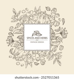 Fundo com ervas e especiarias: garcinia cambogia, açafrão, curry tree, sementes de azhgon. Ilustração desenhada à mão vetorial.