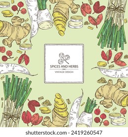 Background with herbs and spices: ginger, sichuan pepper, daikon and lemongrass. Vector hand drawn illustration.