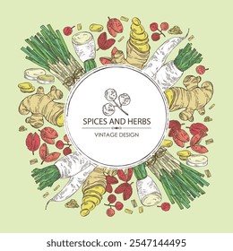 Fundo com ervas e especiarias: gengibre, pimenta sichuan, daikon e capim-limão. Ilustração desenhada à mão vetorial.