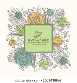 Background with herbs and spices: kale leaves, sesame seeds, shallot, sichuan pepper. Vector hand drawn illustration.
