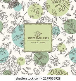 Background with herbs and spices: leaves and arugula, spinach, dill leaves and seeds and parsley. Vector hand drawn illustration.