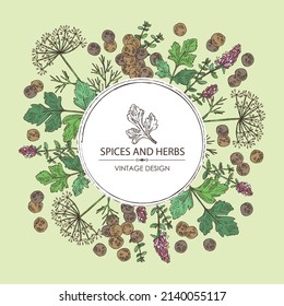 Background with herbs and spices: leaves and flowers of thyme, black pepper, dill leaves and seeds and parsley. Vector hand drawn illustration.