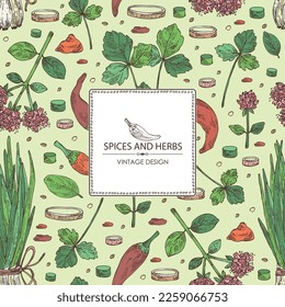 Background with herbs and spices: leaves and flowers of origanum vulgare, shallot, cayenne pepper and cryptotaenia japonica. Vector hand drawn illustration.