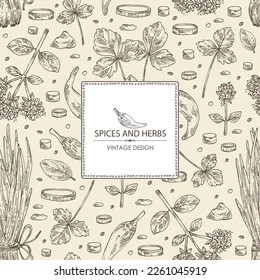 Background with herbs and spices: leaves and flowers of origanum vulgare, shallot, cayenne pepper and cryptotaenia japonica. Vector hand drawn illustration.