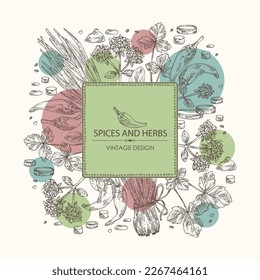 Background with herbs and spices: leaves and flowers of origanum vulgare, shallot, cayenne pepper and cryptotaenia japonica. Vector hand drawn illustration.