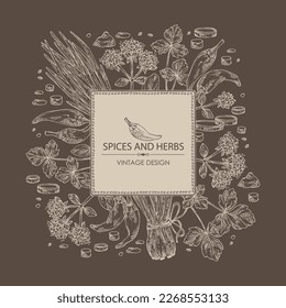 Background with herbs and spices: leaves and flowers of origanum vulgare, shallot, cayenne pepper and cryptotaenia japonica. Vector hand drawn illustration.